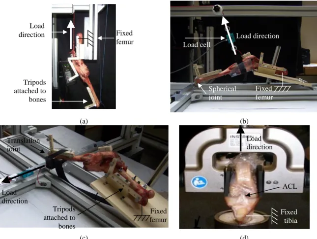 Fig. 1 Experimental setups: (a) flexion-extension, (b) anterior drawer, (c) varus-valgus, and (d) pull-out test 