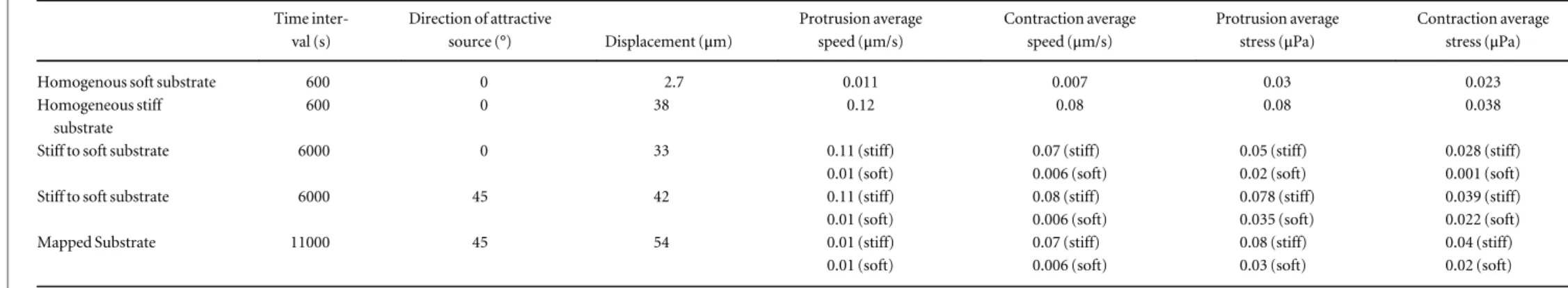 Table 2. Quantitative results for the numerical simulations. Time  inter-val (s) Direction of attractivesource (°) Displacement ( μ m) Protrusion averagespeed (μm/s) Contraction averagespeed (μm/s) Protrusion averagestress (μPa) Contraction averagestress (