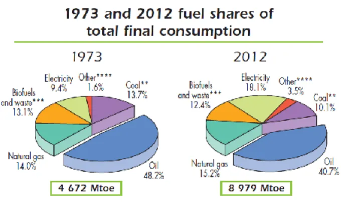 Fig. 1 Consommation finale d’Energie par source d’énergie, 