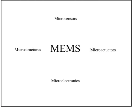 Figure 1.2 MEMS Components 