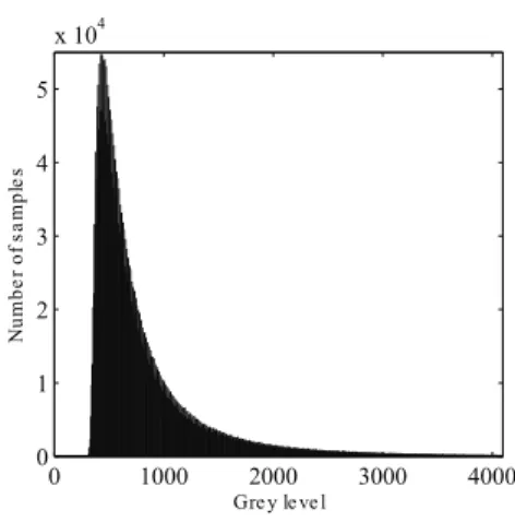 Fig. 2: Grey-level distribution.