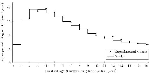 Fig. 4. Variation in average growth ring width with respect to cambial age (measurements from  Paillassa et al