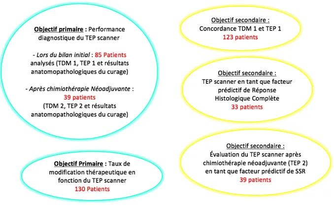 Figure 4 : Description des sous-groupes étudiés en fonction des objectifs 