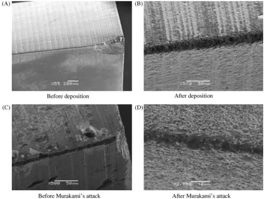 Fig. 4. SEM image of: (A) an uncoated and (B) CrAlN-coated carbide insert’s edge; (C) an unattacked and (D) Murakami’s attacked carbide insert’s edge.