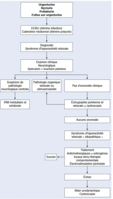 Figure 2 : Arbre décisionnel devant  des symptômes d’HAV. 