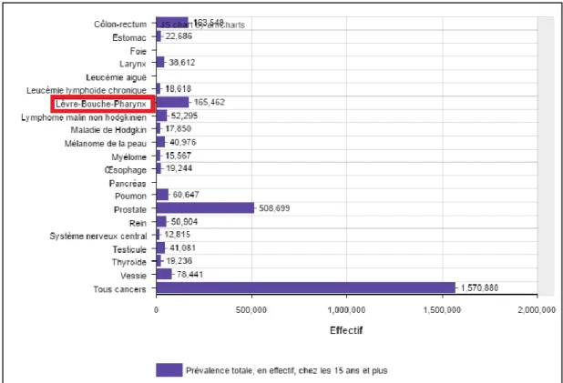 Figure 9: Prévalence totale des cancers chez l'homme de plus de 15 ans en France en 2008 (12)