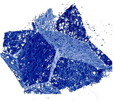 Fig. 5. 3D reconstruction of bead walls in using classical numerical ﬁlters.