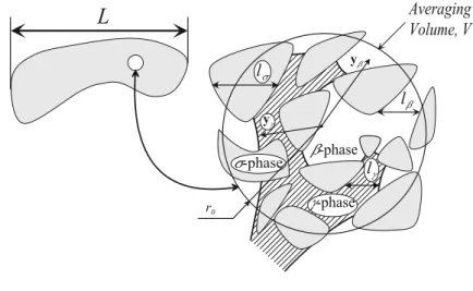 Fig. 1 Macroscopic region and averaging volume