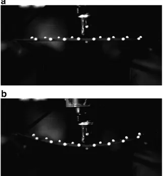 Fig. 4. Impact of sample A at V init = 2.2 m s 1 . (a) Just before the contact and (b) at the maximum deformation.