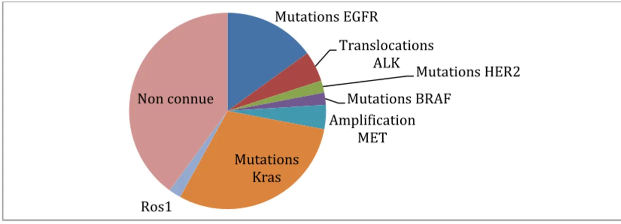 Figure  8 :  Fréquences  des  principales  altérations  de  l’EGFR  des  adénocarcinomes  pulmonaires  EGFR mutés