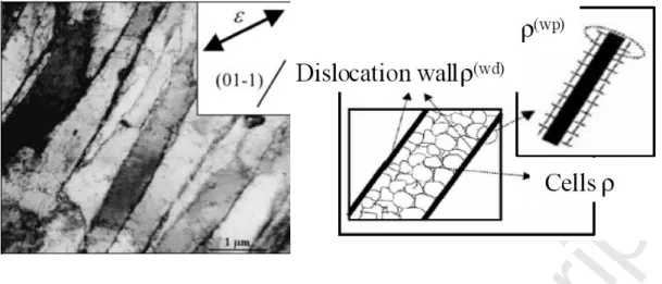 Fig. 1. (a) Longitudinal plane view TEM micrograph of a grain in an IF-steel specimen after  20% uniaxial tension in RD (after Peeters et al
