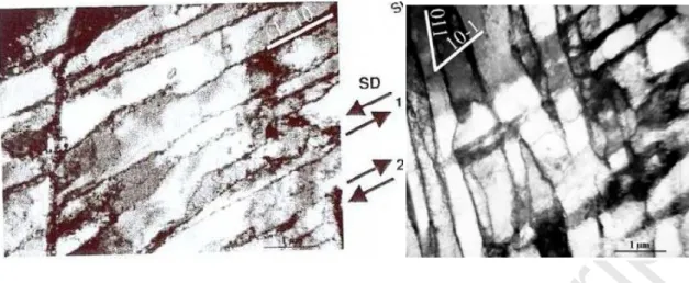 Fig. 6. Longitudinal plane view TEM micrographs (after Peeters et al. [10]): (a) of a (95.6,  124.3, 53.4°)-oriented grain in a specimen after a reverse shear test of -30%/30% with SD  parallel to RD and SPN parallel to TD, and (b) of a (43.8, 127.8, -42.4