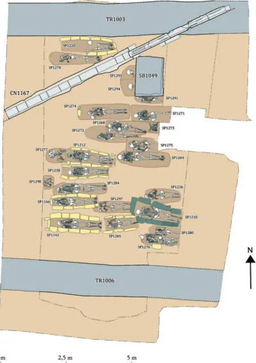 Fig. 17 - Saint-Gilles-du-Gard, les fouilles du cloître en 2010, plan du cimetière claustral (phase C, niveaux des  XII e - XIII e siècles) (L