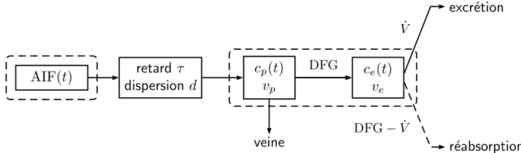 Figure 2.3: Modèles à deux compartiments proposés par Annet [24] et Sourbron [25]. En comparaison avec le modèle de [22] (voir figure 2.2), le modèle introduit un retard τ (négligé pour Sourbron et al