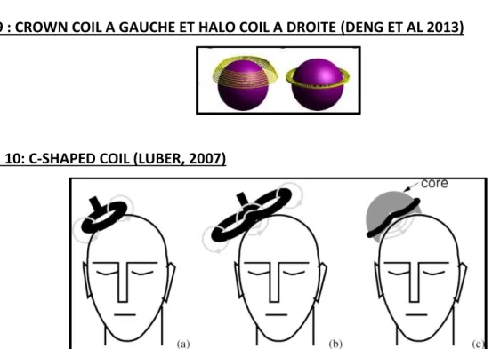 FIGURE 9 : CROWN COIL A GAUCHE ET HALO COIL A DROITE (DENG ET AL 2013) 