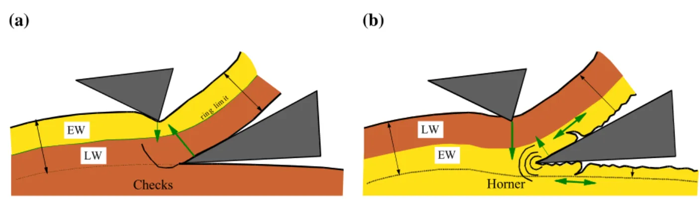 Figure 6 Specific problems encountered with heterogeneous species. (a) Ring limit crossing  the veneer: the high density near the tool increases the risk of lath checks since the low  density near the pressure bar prevents it to counteract
