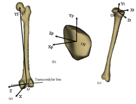 Figure 4 Determination of femoral (a), patellar (b) and tibial (c) coordinate system.