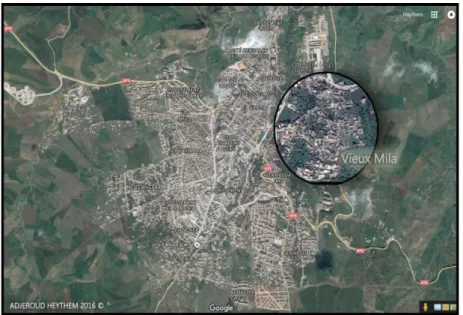 Figure 1. Situation de l’aire d’étude  Source : Imagerie satellitaire Google  C  Problématique 