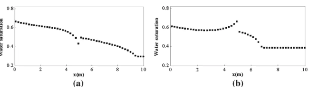 Fig. 4 Saturation fields for a injection into the more permeable zone η (t = 5 . 86 × 10 5 s) and b injection into the less permeable zone ω (t = 4 