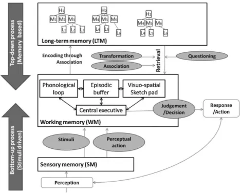 Fig. 3. Information processing model (integration of the multiple components of working memory).