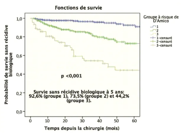 Figure 4 d’après D’Amico : Courbes de survie sans récidive biologique à 5 ans en fonction  du risque de progression classé en 3 catégories : risque faible (en bleu), risque intermédiaire  (en vert) et risque élevé (en gris) 