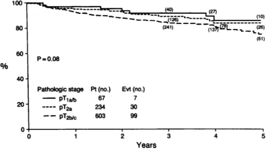 FIG.  1. Kaplan-Meier  progression-free (1ocaUsystemiclPSA  more than 0.2 ng./ml.) survival estimates for 904 patients with pathologically  organ confined prostate cancer (stage pT2c or less) aRer radical prostatectomy  (1987 to  1991)