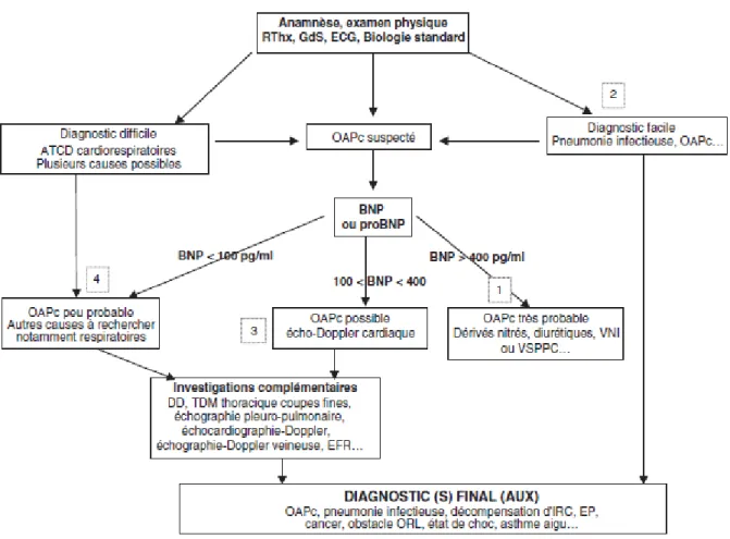 Figure 3 : Algorithme décisionnel devant une dyspnée aigue, intégrant le dosage du BNP