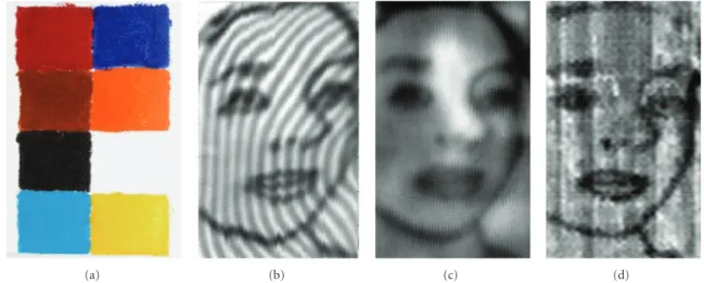 Figure 2: (a) Photograph of the sample (paint layers covering a graphite sketch), (90 mm × 55 mm); (b) transmission CW image at 240 GHz;