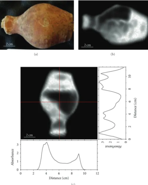 Figure 9: (a) Photograph of the Egyptian jar (inventory number 8608), (b) 2D THz transmission image of the horizontal jar, (c) 2D THz transmission image from the turned upside-down jar and intensity profiles (absorbance) along the horizontal and vertical r