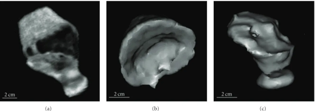 Figure 10: 3D THz computed tomography of the Egyptian jar (inventory number 8608), turned upside down