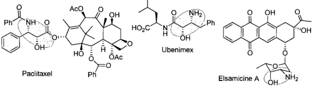 Figure 4. Molécules naturelles renfermant le motif alcool  ~-aminé 