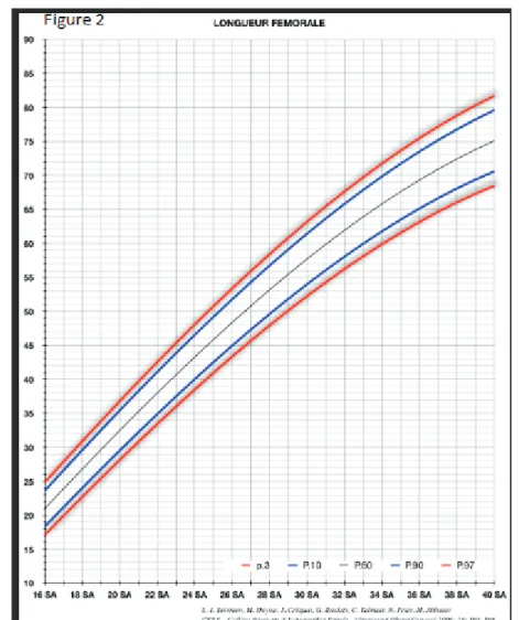 Figure 2 : Courbe de la longueur fémorale en fonction de l’âge gestationnel (selon le CFEF et  l’INSERM) 