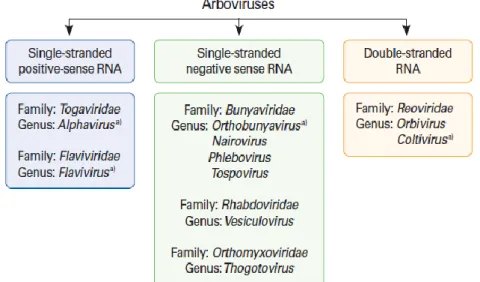 Tableau I : les principaux arbiviroses tropicaux selon leur région 