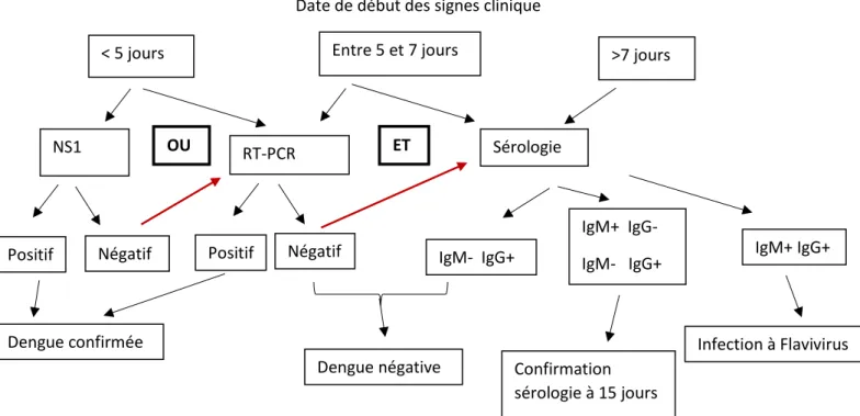 Figure 5a : Cinétique biologique d’une primo-infection à dengue virus (4) 