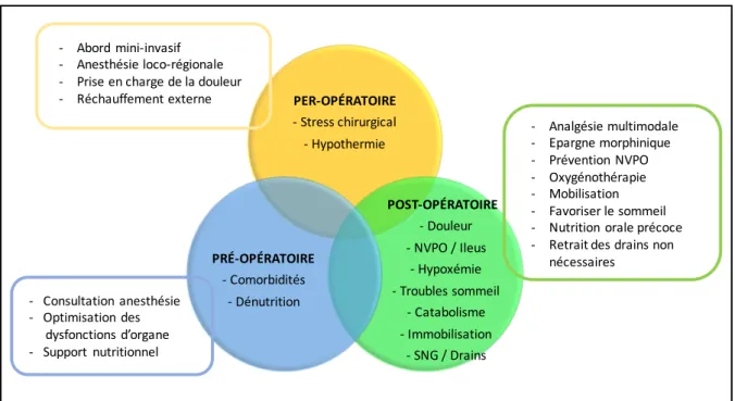 Figure 3 : Identification des facteurs de risque péri-opératoires devant être évités ou traités afin de diminuer la  morbidité post-opératoire, d’après Kehlet (16)