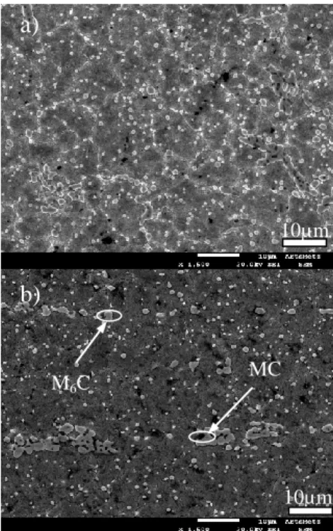 Table 4. Micrographs of different points 