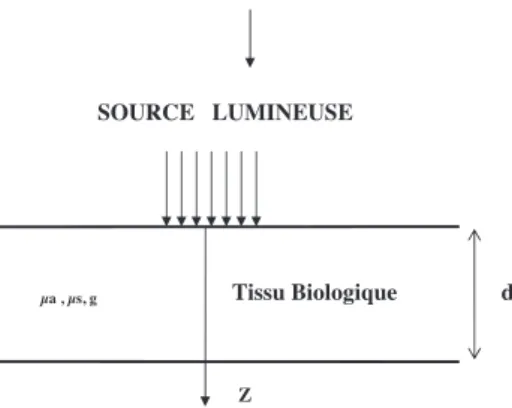 Fig. 1. Tissu biologique d’épaisseur d irradié par un faisceau laser de rayon r 0 .