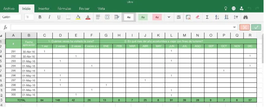 Figura 7. Formato en hoja Excel para sistematizar datos de encuesta