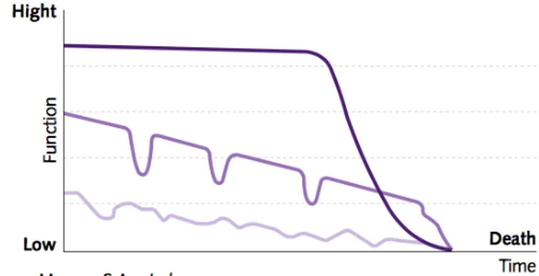 Figure 3 Les trois principales trajectoires de fin de vie 