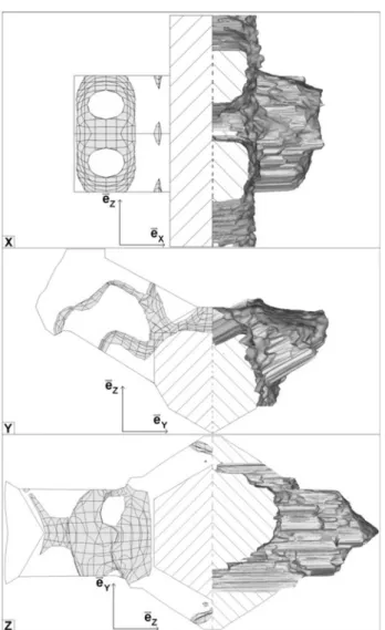 Fig.  7 - Comparison between the iso-surfaces of 