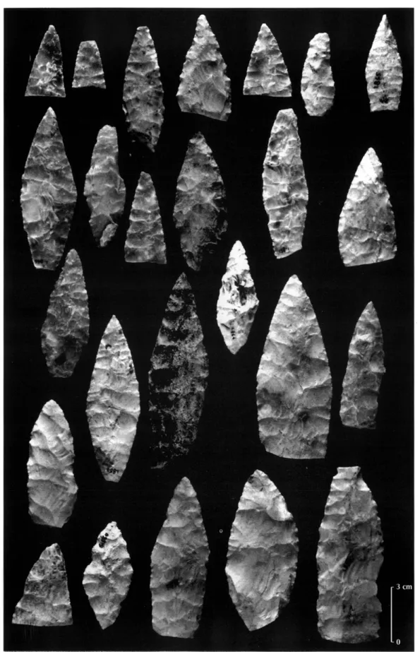 Fig. 8 - Feuilles de laurier solutréennes retrouvées par Chaplain-Duparc dans le Porche de la Dérouine