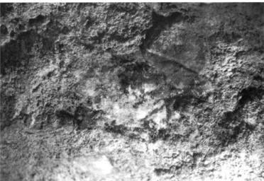 Fig. 21 - Position du panneau gravé dit de « la porte d'entrée »,  à la verticale de l'ouverture paléolithique aujourd'hui obstruée 