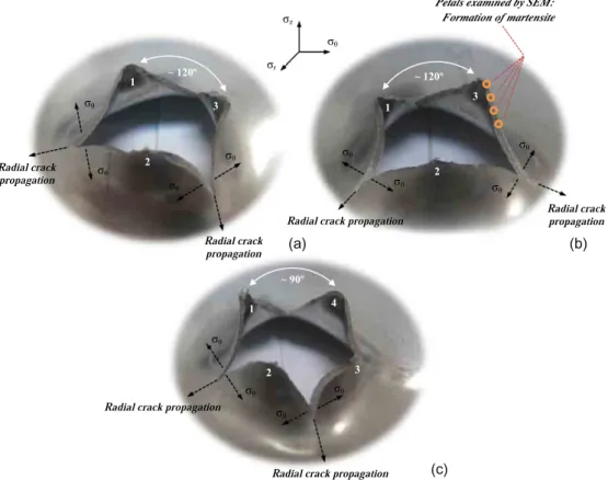 Fig. 5. Experimental results: conical projectile conﬁguration. Final stage of the impact process for different initial velocities