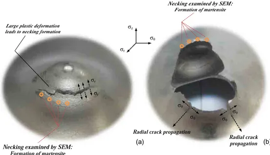 Fig. 8. Experimental results: hemispherical projectile conﬁguration. Final stage of the impact process for different initial velocities