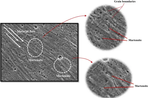Fig. 9. Hemispherical projectile conﬁguration. SEM micrograph of the zone directly affected by the impact