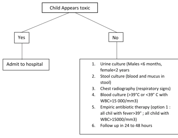 Figure 8 Algoritm for the management of a previously healthy infant 3 to 36 months old with fever without source 
