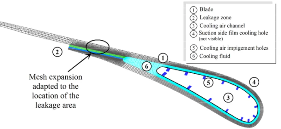 Figure 5: Blade and inner fluid mesh    