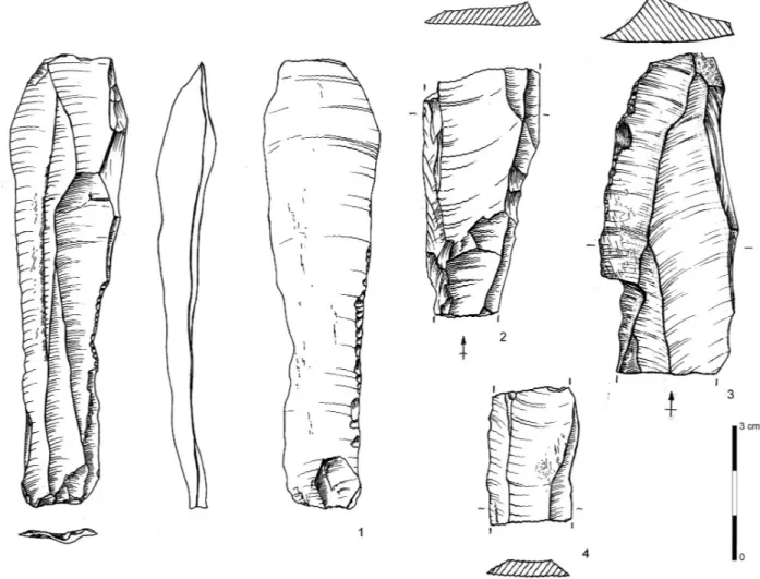 Figure 6: Blade industry. 1: retouched blade; 2: proximo-mesial fragment of sub-crested blade; 3: mesio-distal fragment of used sub-crested blade; 