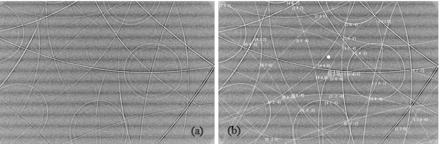 Fig. 1: (a) Experimental Kossel pattern obtained from a Cu-Al-Be crystallite. (b) The corresponding  simulated pattern after the strain calculation