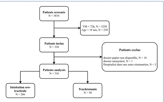 Figure 3 : Diagramme de flux des patients  VM = ventilation mécanique invasive 